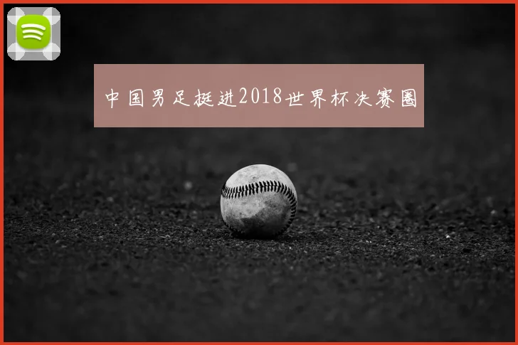 中国男足挺进2018世界杯决赛圈
