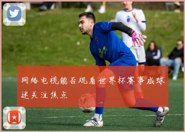 网络电视能否观看世界杯赛事成球迷关注焦点