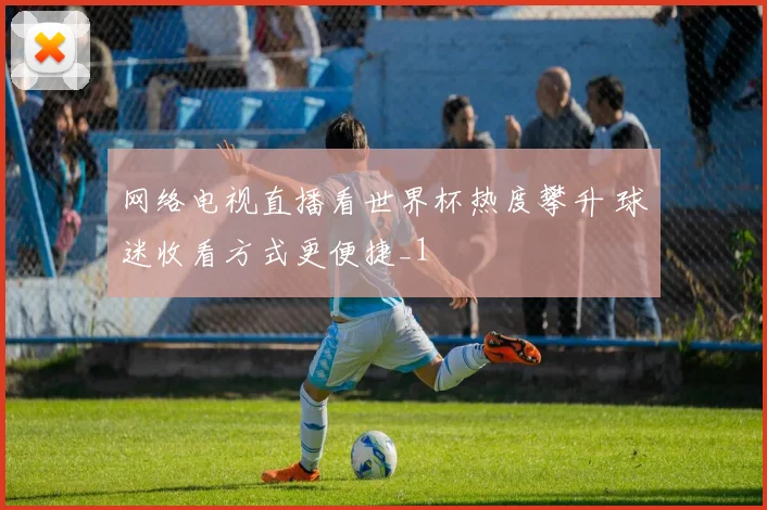 网络电视直播看世界杯热度攀升 球迷收看方式更便捷_1